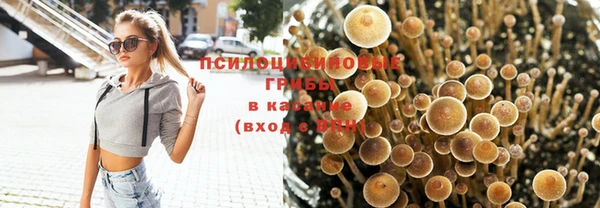 прущие крисы Абдулино