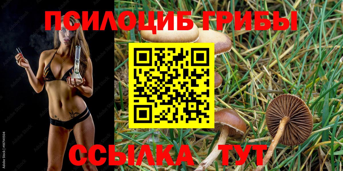 Галлюциногенные грибы GOLDEN TEACHER Дивногорск