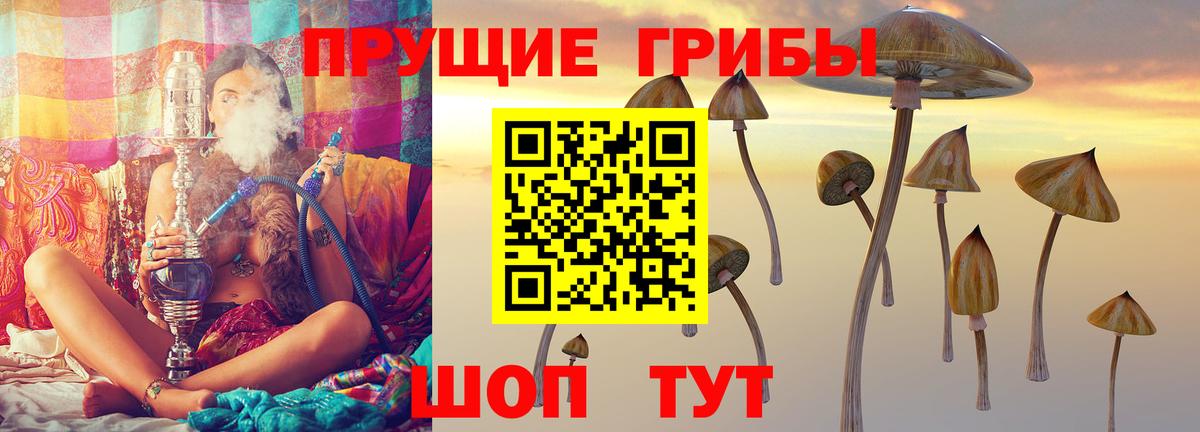 Дивногорск  Псилоцибиновые грибы прущие грибы  Вход с VPN  Галлюциногенные грибы Psilocybine cubensis 